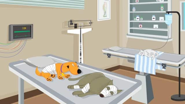 540694462 8e19a0386038f8360f9a41e6cba84b1ee5fe3fac1e645f7e2a2790cf92b20c0b d 640