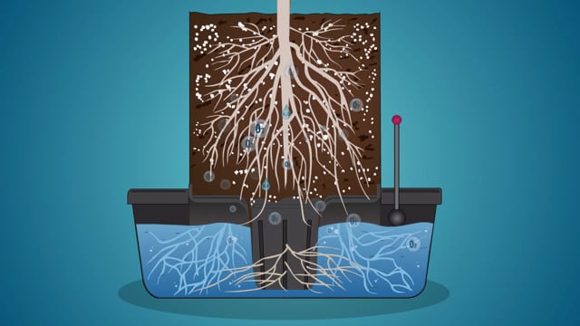 570061878 0730de0fa0be5e3f46e9ffc8be919870697be8a0c325a176170f10c86efc8c28 d 640